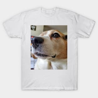 The Presidential Beagle T-Shirt